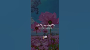آية الكرسي #تلاوة_القرآن #elmulquranعلم #اكسبلور #المصحف #دويتو #القرآن #لايك #القران_الكريم