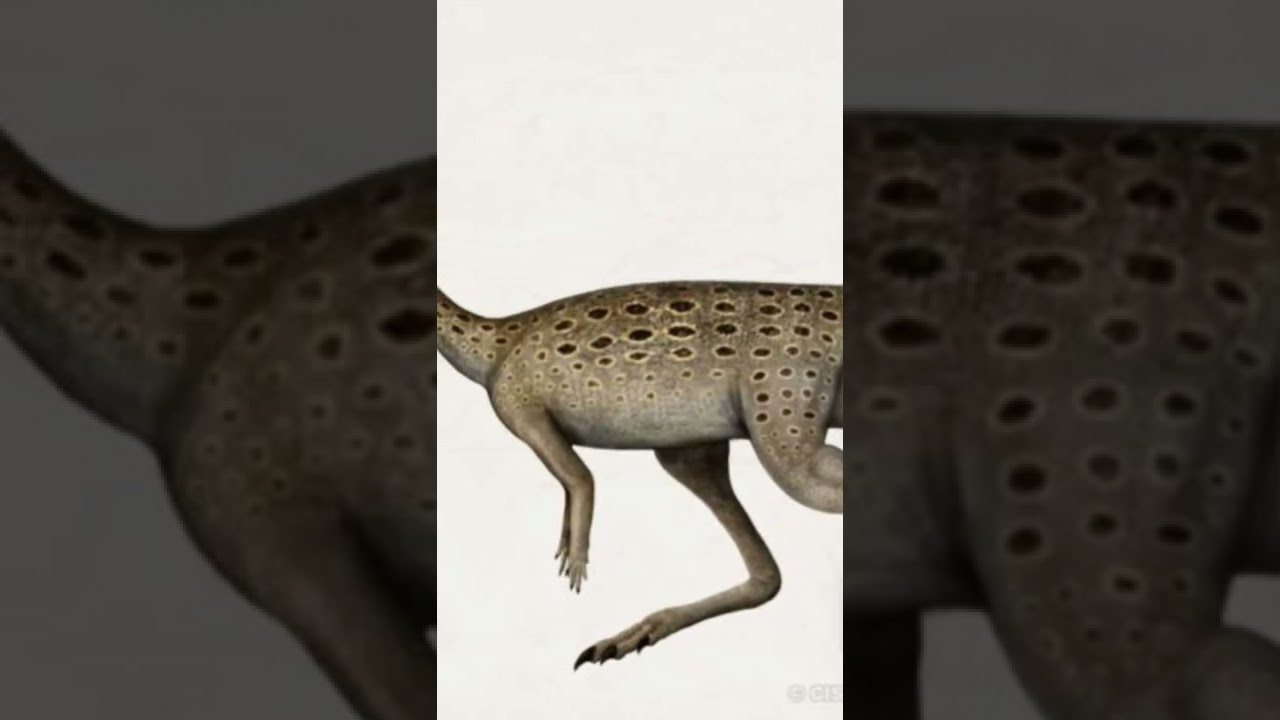 Curiosidades sobre: Laquintasaura venezuelae🇻🇪