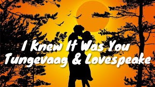 Tungevaag & Lovespeake – I Knew It Was You (Lyrics) 💗♫