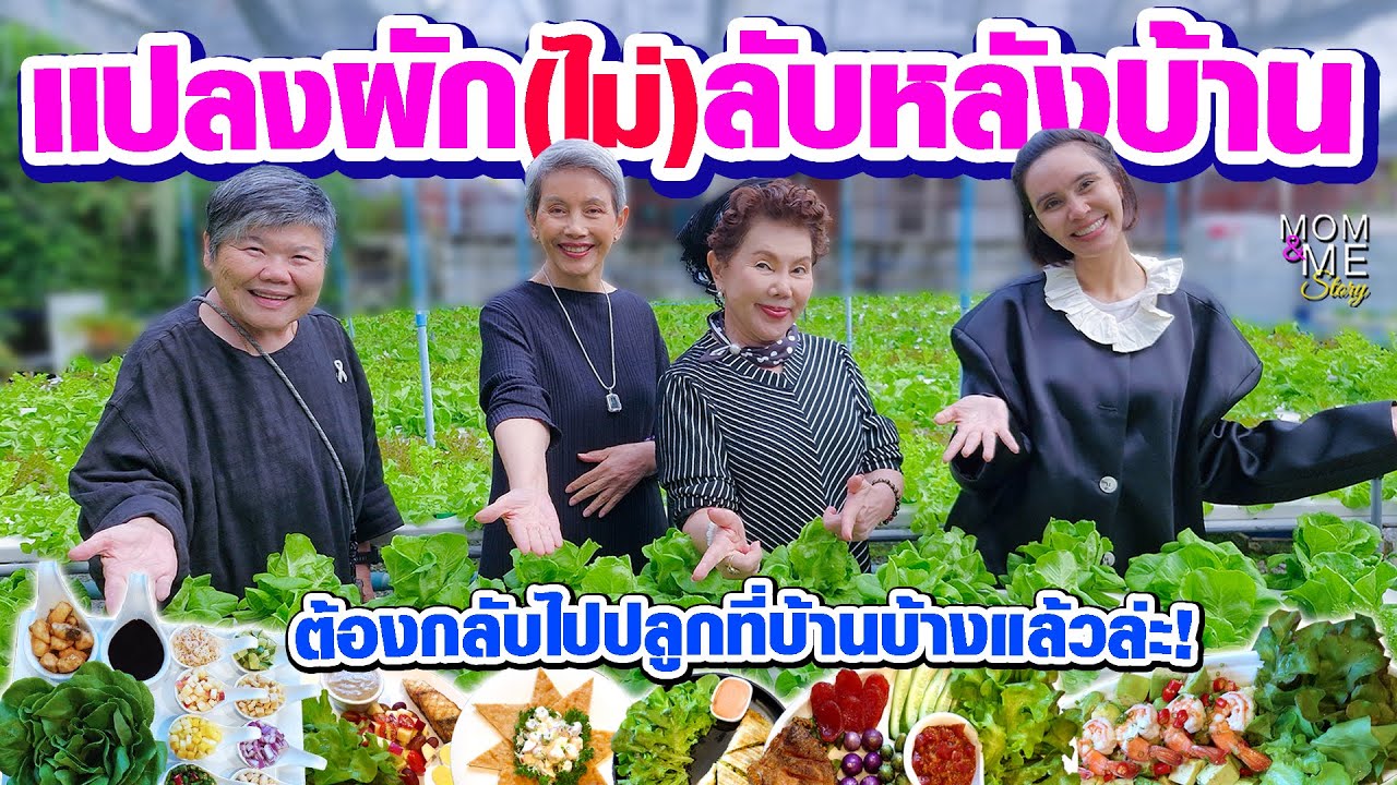 แปลงผัก(ไม่)ลับหลังบ้าน ต้องกลับไปปลูกที่บ้านบ้างแล้วล่ะ! | mom & me story Ep.285