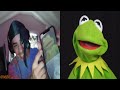 Kermit caught in 4K on Omegle