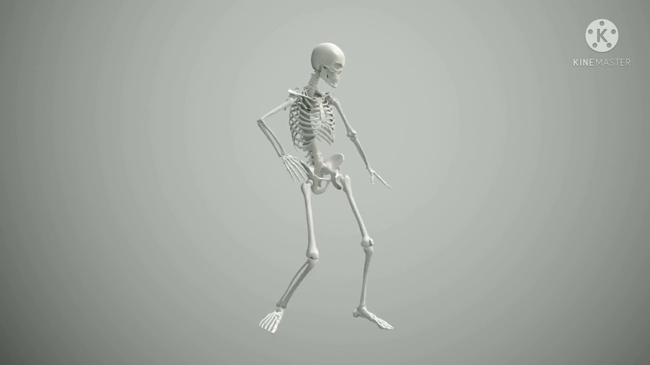 kokal dance youtube video 