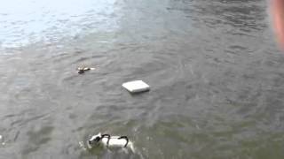 Floatation Device
