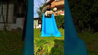 Çocukların En Çok Sevdiği Sevimli Miniklerin Tiktok Ları