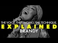Explained  brandys voice