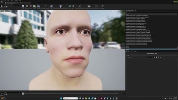 Mesh Morpher - Create From Mesh (Create Morph Targets from other Meta Humans)