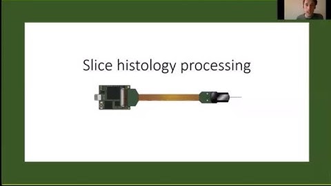 2020 Lecture 3.02 - Combining Neuropixels with imaging - Andrew Peters (UCL)