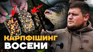 картинка: 🔥 ОЦЕ ТАК ПОЛОВИЛИ КОРОПА!!  Короп на кожному закиді, ніколи присісти!  Карпфішинг 2022