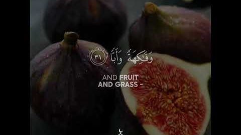 فلينظر الإنسان إلى طعامه🫐، تلاوة 🍃 طارق محمد 🎤