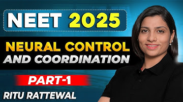 🧠 Neural Control & Coordination Explained | Easy & Clear! ✅ #NeuralControlAndCoordination #neet
