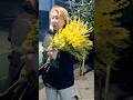День мимоз. Мой рассказ из будущего романа #психология #стоикрада #стоицизм