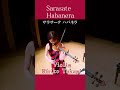 サラサーテ　ハバネラ　Sarasate: Habanera #violin #music