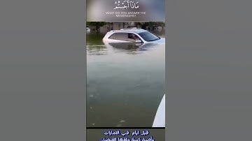 ما تيسرة من سورة القصص القارئ الشيخ محمد الحيدان