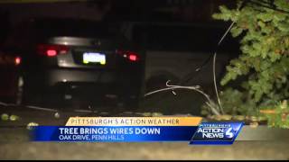 Storm Brings Down Trees In Monroeville Penn Hills Sewickley