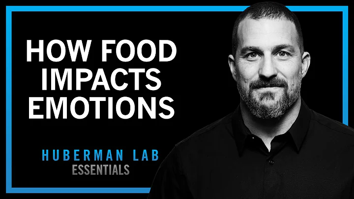 How Foods & Nutrients Control Our Moods | Huberman Lab Essentials