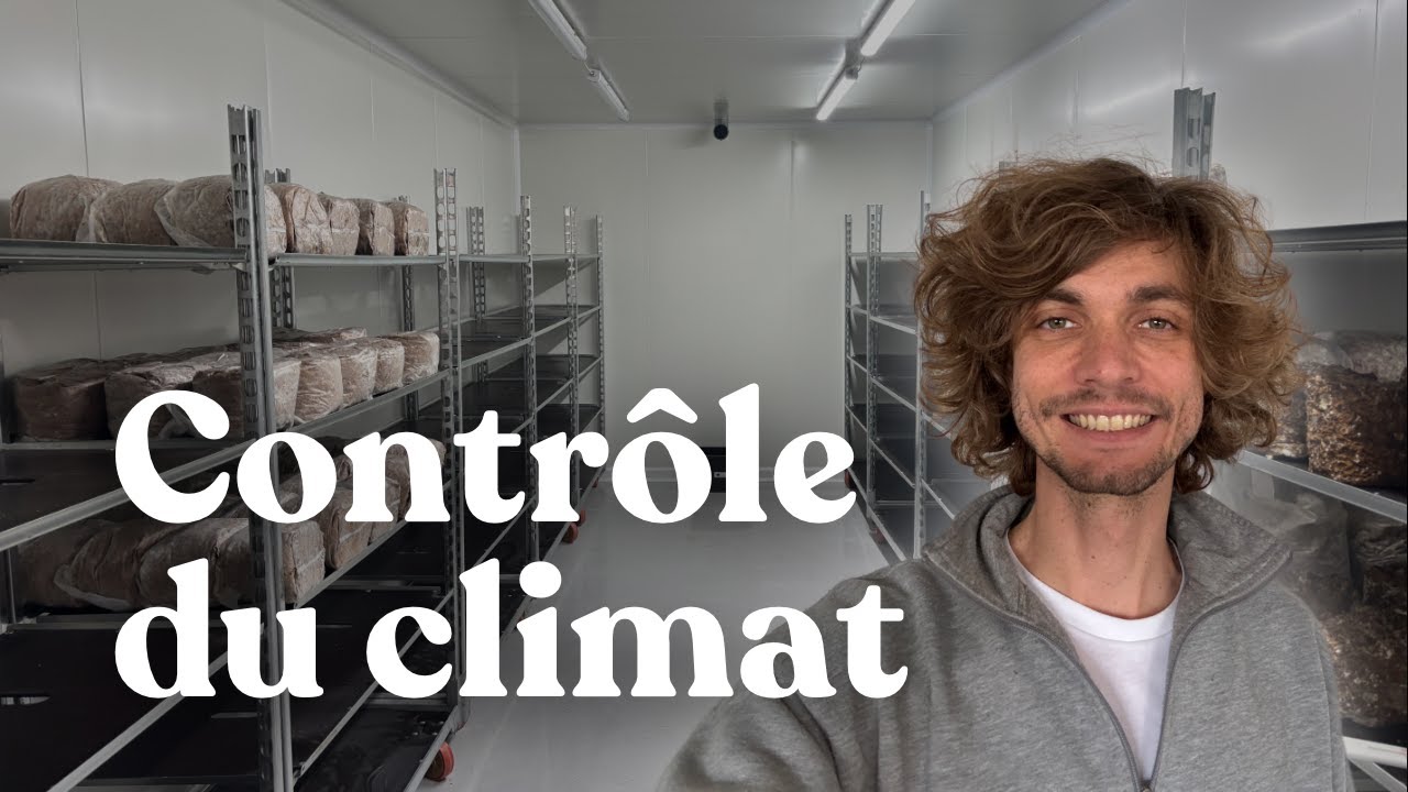 Créer l'environnement d'une salle de culture