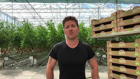 #myDeRuiter: SAVEOL (UK)