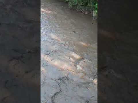 Lama na água do Rio Paranhana força suspensão do abastecimento de água
