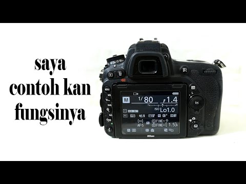 Video: Adakah Nikon d90 badan DX atau FX?