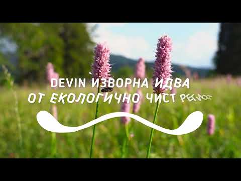 Devin Изворна e