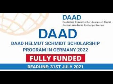 DAAD Helmut Schmidt Scholarship 2022: Application Tips