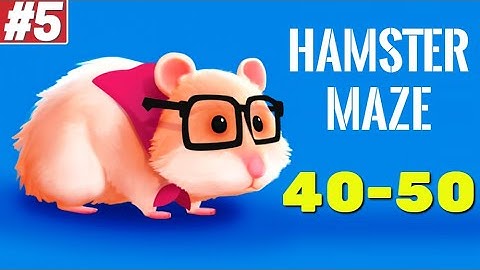 Hamster Maze Gameplay Walkthrough Part #5 Level 40-50 iOS Android Skins