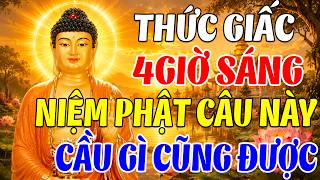 Chỉ Một Câu Niệm Phật Lúc 4 Giờ Sáng – Giúp Tâm An,Thoát Khổ, Đời Thêm Bình Yên | Tịnh Tâm Nghe Pháp