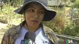 L.A. Works on Univision 34 09-26-09 screenshot 1