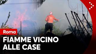 Incendio a Cesano di Roma, fiamme si avvicinano alle case. Residenti provano a spegnere il fuoco