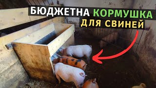 Бюджетна кормушка для свиней. Зробив перше зважування свиней.  Бізнес на свинях в Україні!