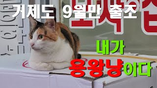거제도 좌대낚시 바람의언덕
