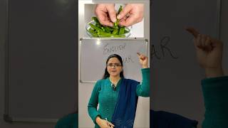 Mincing, Chopping, Slicing | Kitchen Action Verbs 🍳 | English Shorts