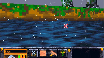 The Arena Experience