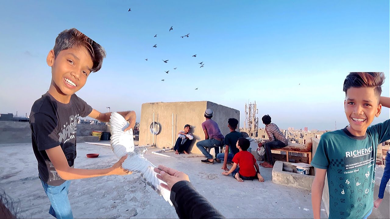 Palti Wala Kabootar Pakda Gaya 🥰