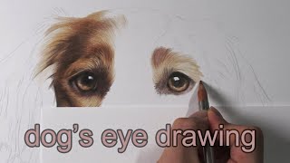 강아지 눈 그리는 방법/dog's eye drawing tutorial