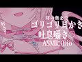 【#ASMR/3Dio】ゴリカリ耳奥まで届く強め高速耳かき 吐息/囁き/耳かき/マッサージ/Ear Cleaning/RelaxSounds/Whispering【愛白うさ / のーりみ】