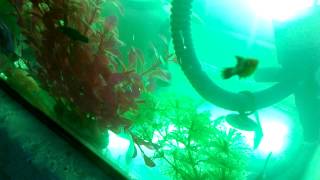 WP 20140101 007