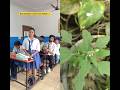 Discrimination starts from School 🏫 #shorts #ytshorts #sejalgabashorts #school #fyp