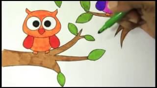 Colouring Owl on the Tree | Fun coloring pages for kids|Owl Coloring Page for Kids to Learn to Color