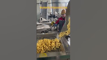 Butterfly production popcorn line for food snacks factory #popcorn #machine #industrial