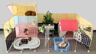 Detailed instructions on how to make a Pomeranian dog house | DIY Cat Home | Mr Pet Family by MR PET FAMILY 2,989 views 3 weeks ago 23 minutes