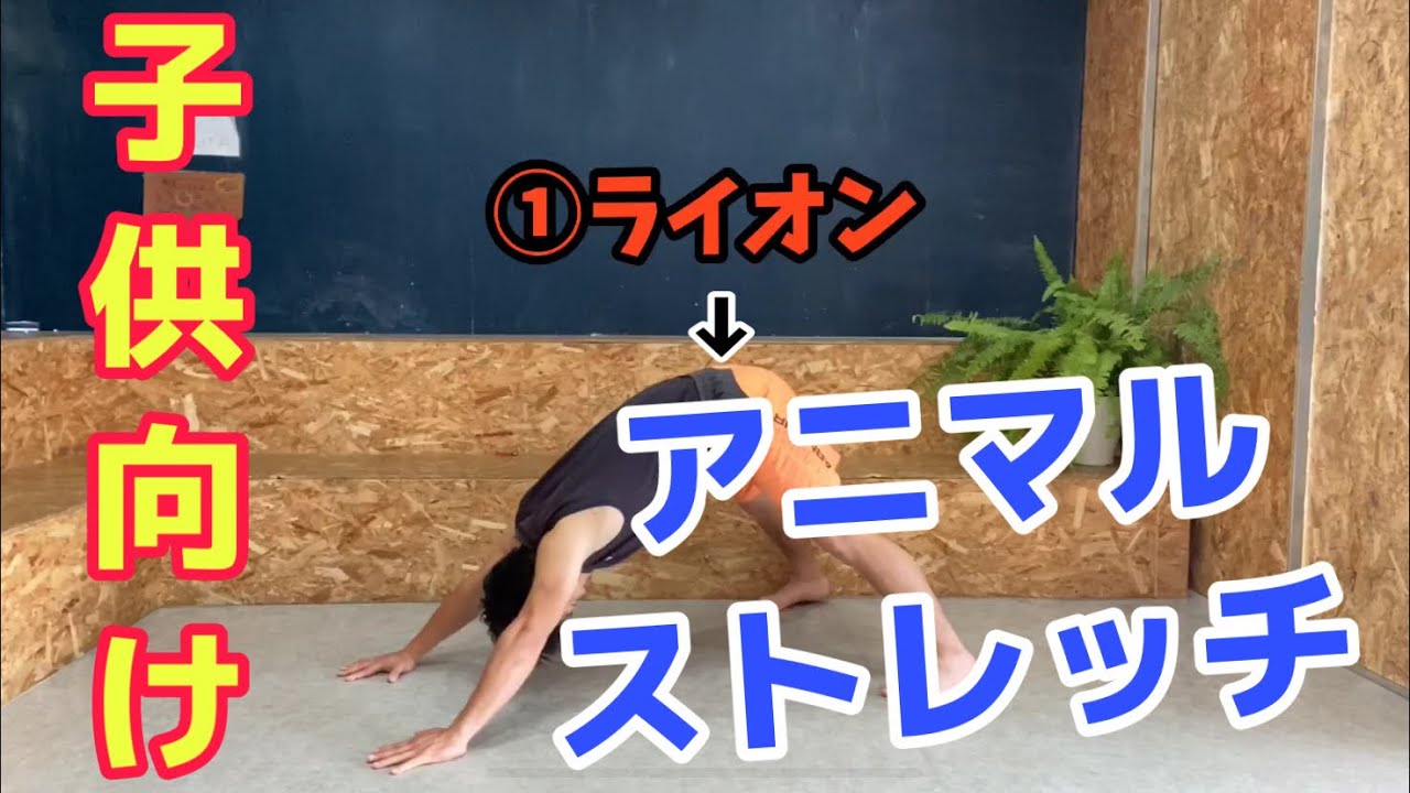 家でできる子供向け運動 アニマルストレッチ Youtube