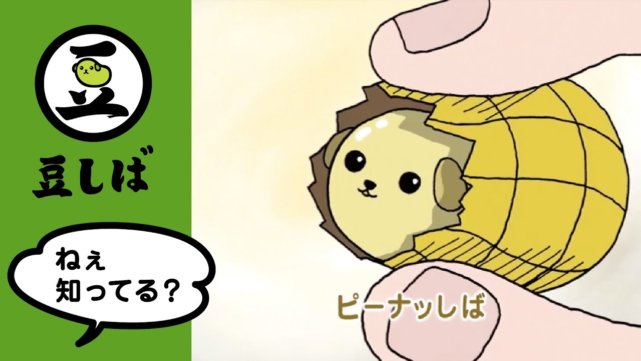 第3話】ピーナッしばの巻 【豆しば】 - YouTube