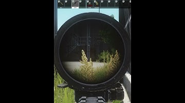 Tarkov visual bug=wallhacks #shorts