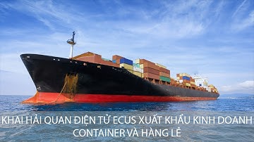 Hướng Dẫn Khai Hải Quan Điện Tử Xuất Khẩu Kinh Doanh Đường Biển Container và Hàng Lẻ