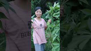 Youtube Video Leaves Dress Cerai