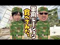 【戦闘糧食】ビックリするほど〇〇！軍用レーション食レポ動画【防災糧食】