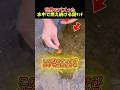 キャンプで使える水中で燃え続ける謎マッチ