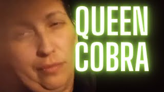 This stream was wild. Queen Cobra was extra foul and then passed out and we went on a journey..