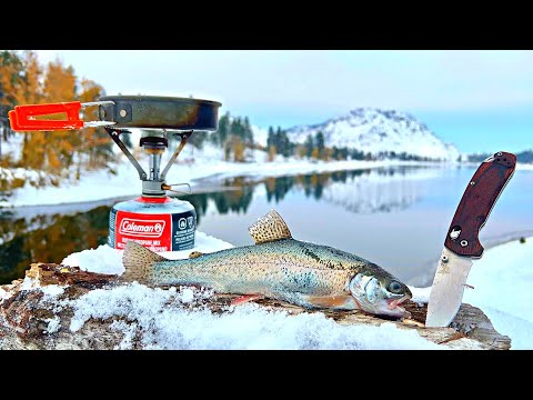 WINTER TROUT Fishing in REMOTE Mountain Lakes!!! (SOLO Catch & Cook)